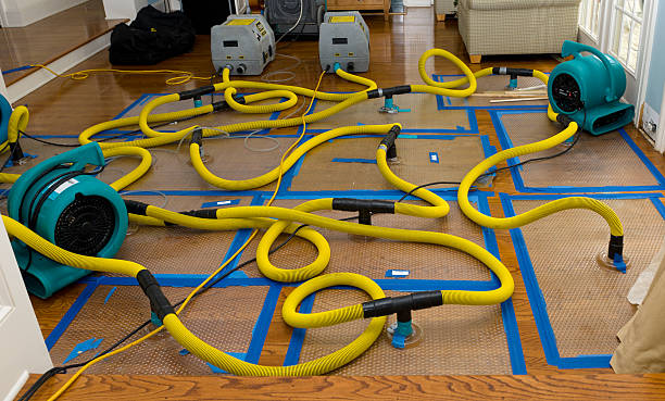 Professional Water Damage Repair technician working in Vernon, AL
