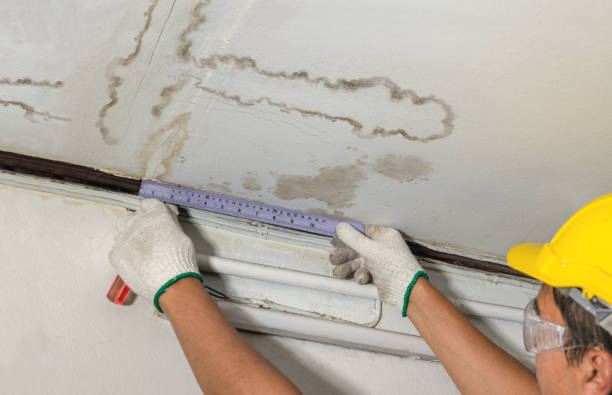 Affordable Water Damage Repair solutions in Vernon, AL